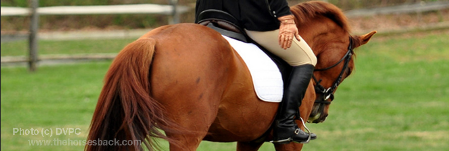 5 Ways Your Seat Can Screw Up Your Horse Without You Even Noticing