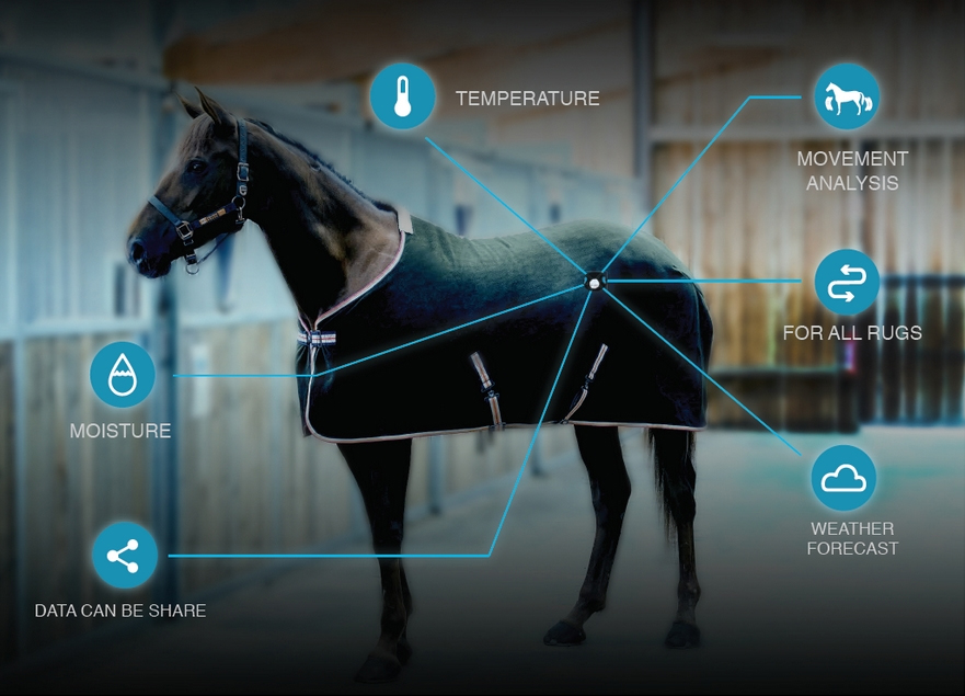 Rug sensors measure temperature, humidity, and your horse's movement patterns.