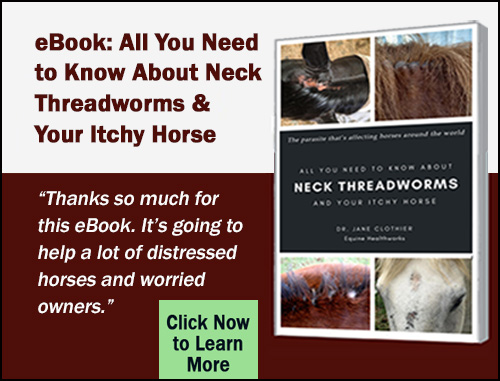 Click to view the eBook: All You Need to Know About Neck Threadworms and Your Itchy Horse