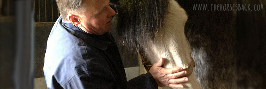 Learn Equine Osteopathy to Restore Function and Health to Horses