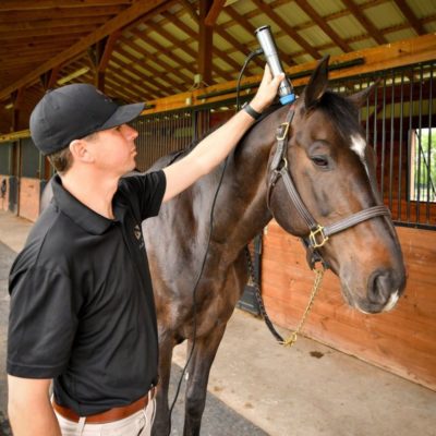 Add Affordable Equine Therapeutic Devices to Your Practice