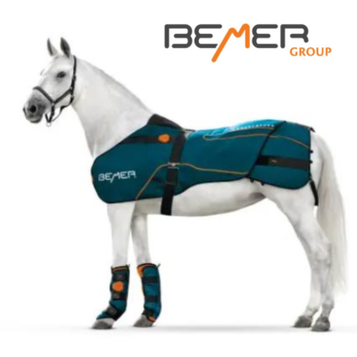 BEMER: The World Leading Therapy Rug for Horses