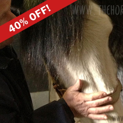 Learn Equine Osteopathy to Restore Function and Health to Horses