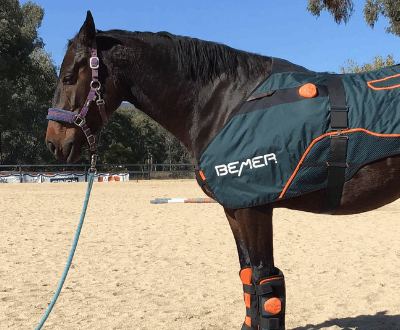 BEMER And Bodywork: What I'm Seeing And Why I'm Hooked