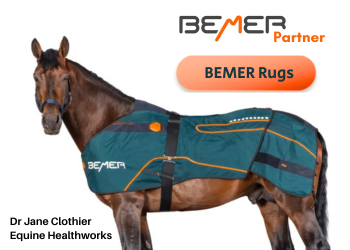 Where therapy meets comfort - read about BEMER rugs