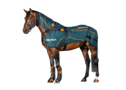 How Does The BEMER Blanket Work? - The Horse's Back