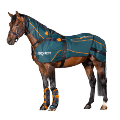 BEMER: The World Leading Therapy Rug