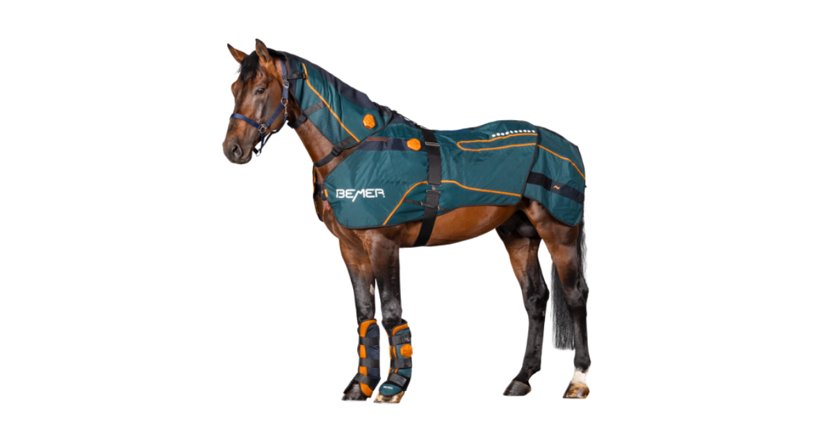 BEMER: The World Leading Therapy Rug