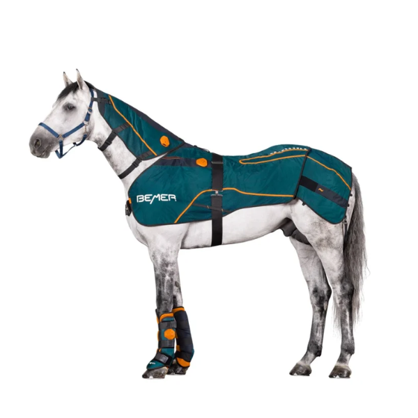 How Does The BEMER Blanket Work? - The Horse's Back