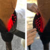 Hock Boots (Pair) - Red Light & Near Infrared