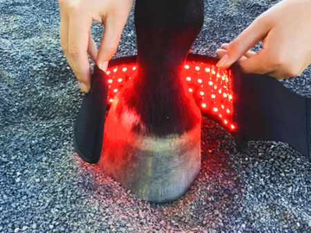 Hoof Boots (Pair) - Red Light & Near Infrared