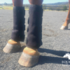 Tendon Boots (Pair) - Red Light & Near Infrared - Image 5