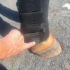 Tendon Boots (Pair) - Red Light & Near Infrared - Image 6