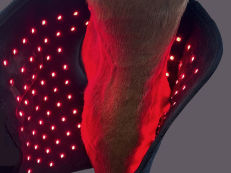 Red Light Near-Infrared Therapy (Australia)