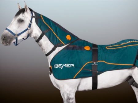 BEMER Therapy for Horses & People