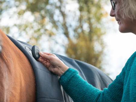 Digital Devices for Equine Health