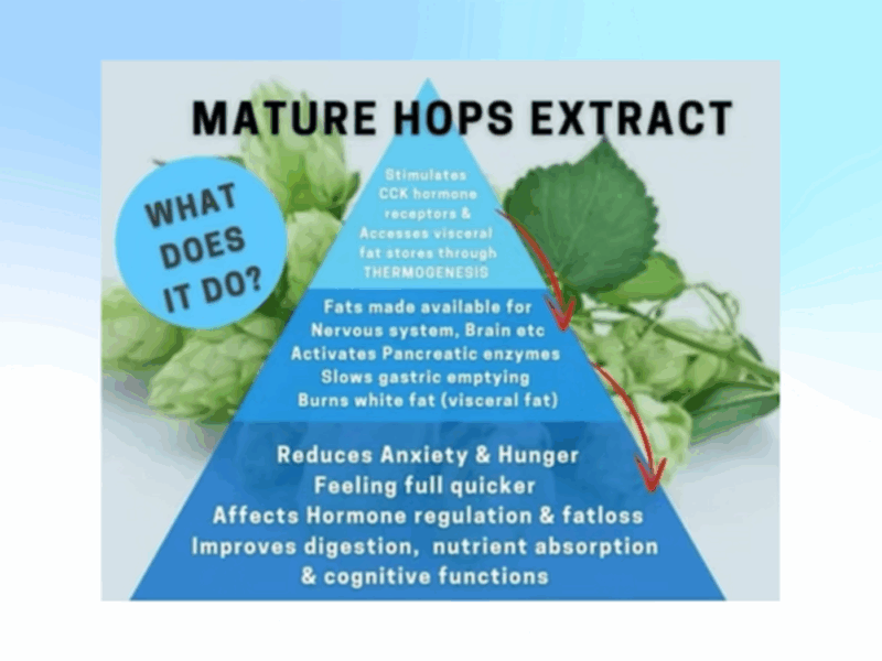 pHix - Matured Hop Extract - Australia - Image 4