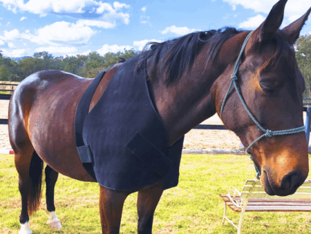Neck and Shoulder Wrap Pad - Red Light & Near Infrared