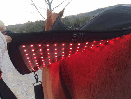 Red Light Near-Infrared Therapy (Australia)