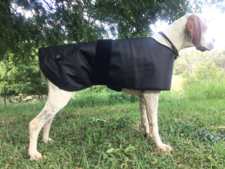 Dog Back Pad - Red Light & Near Infrared (Large) SAMPLE