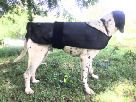 Dog Back Pad - Red Light & Near Infrared (Medium) SAMPLE