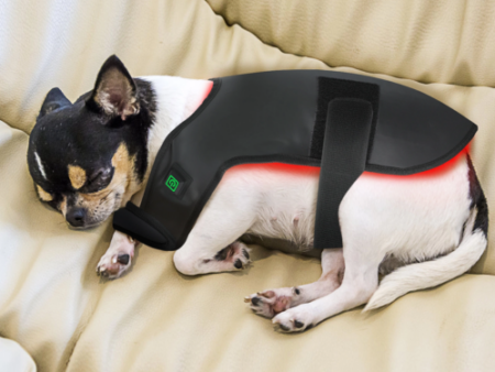 For Dogs: Red Light Near-Infrared Pads
