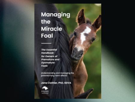 eBooks direct from The Horse's Back