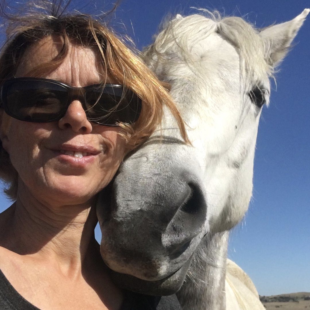 @equine.healthworks