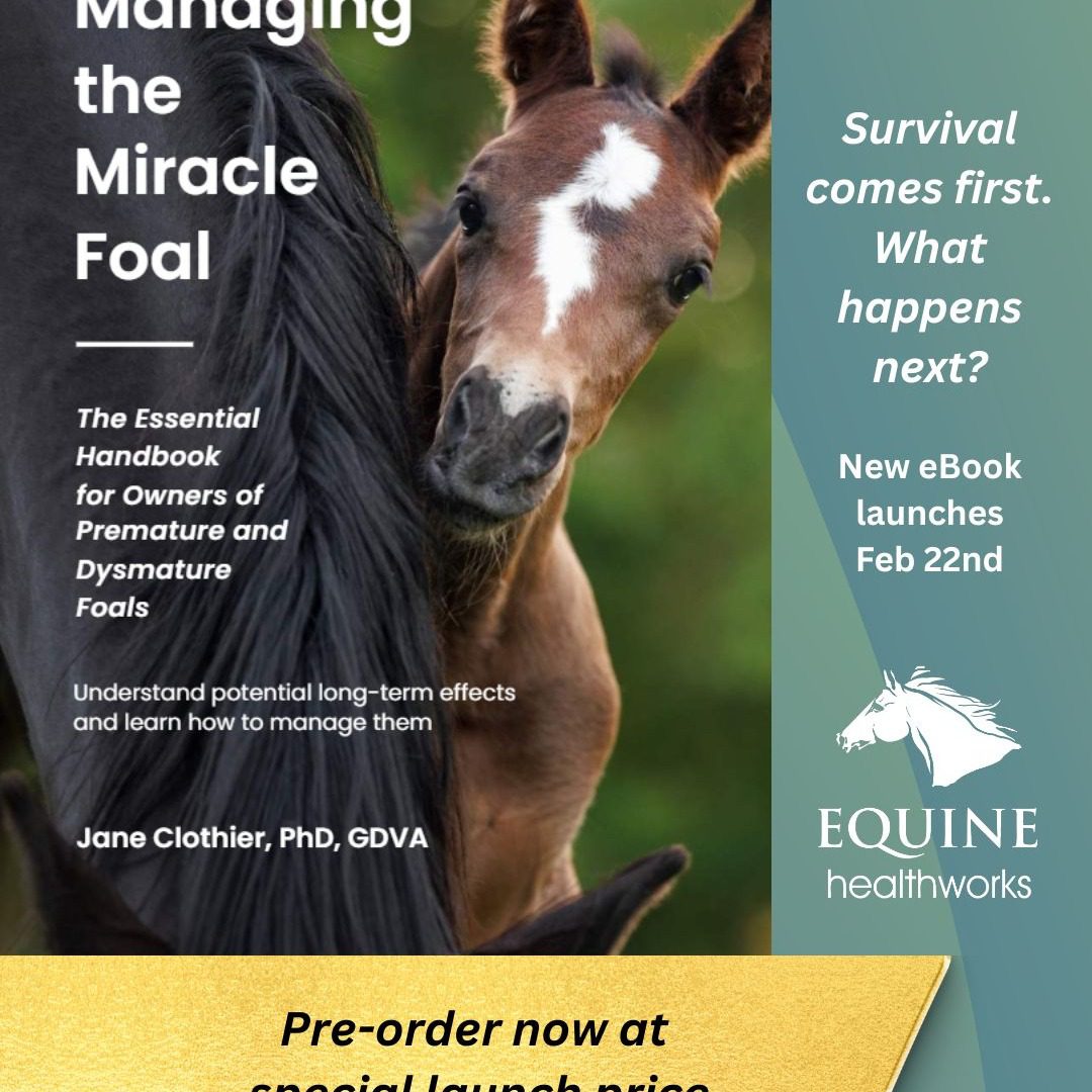 🎉 Managing the Miracle Foal is now available for pre-order!
Based in PhD research, this groundbreaking handbook explores the potential long-term consequences of premature or dysmature birth in horses.
Early supporters can now access it at a special introductory launch price.
Just go to Amazon -> search Miracle Foal
- Full launch 22 February -
#PremmieFoal #PreemieFoal #PrematureFoal #dysmaturefoal #FoalWatch #NeonatalFoal #FoalICU #MiracleFoal #WarriorFoal #RescueFoal #foalsofinstagram #equinescience #infoal #foalsof2026 #foalsof2025 #foalwatch #foal #foals