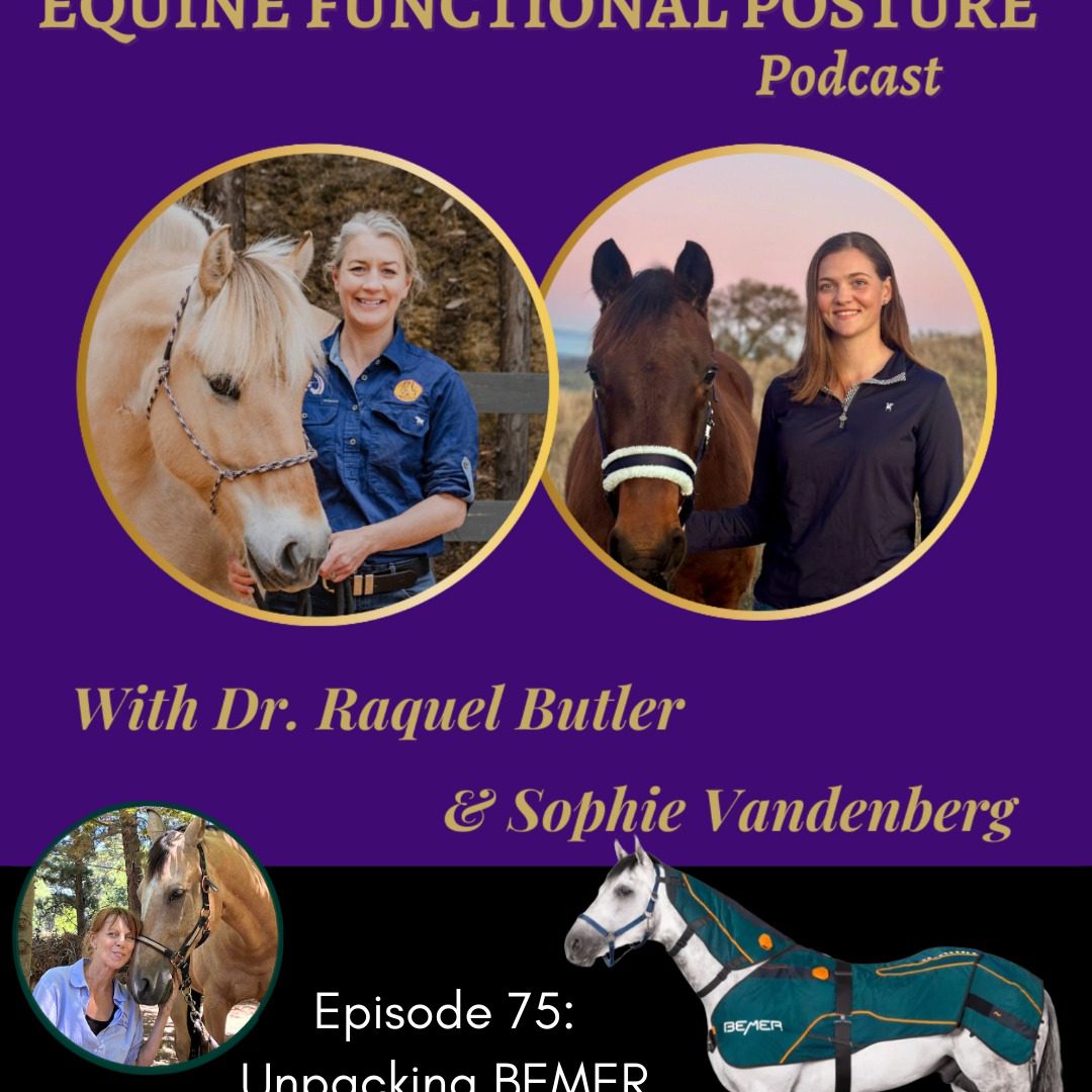 This was fun and super interesting, despite my occasional memory crashes (this could be why I prefer writing!).
We discussed:
- The body as an orchesta of finely tuned, sycnhronised systems
- BEMER mechanisms: improving vasomotion to support microcirculation
- What Vasomotion is compared with Vasodilation (a common benefit in bodywork)
- My observations + case examples (I loved hearing Dr Raquel's observations too :-) )
Find Episode 75 of the Integrated Functional Posture Podcast, or visit Raquel's Integrated Veterinary Therapeutics page to listen. And feel free to contact me with questions about BEMER, or visit my website thehorsesback.
#ShowjumpingAustralia
#DressageAustralia
#EventingAustralia
#BarrelRacingAustralia
#quarterhorseaustralia