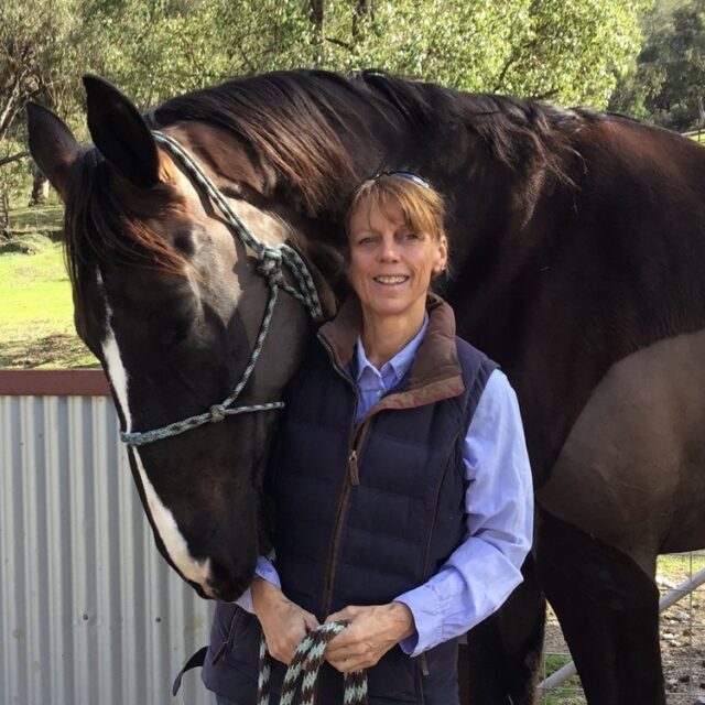Schmoozing with the big boy, who I've just noticed is here trying to remove my shirt cuff. 18hh of black WB and still acts like a cheeky pony. I am about 5.6"/ 167cm.