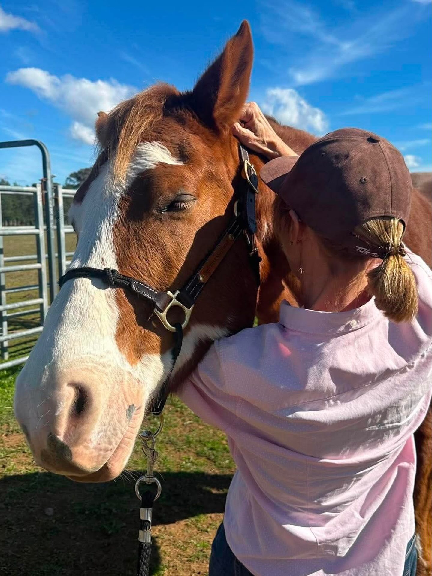 I’m in love… again. The biggest softest paint horse completely embraced the work in this session. Here he’s giving me the full weight of his head, forcing me to adopt the sumo squat to support him…