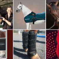 Store for Your Whole Horse Care
