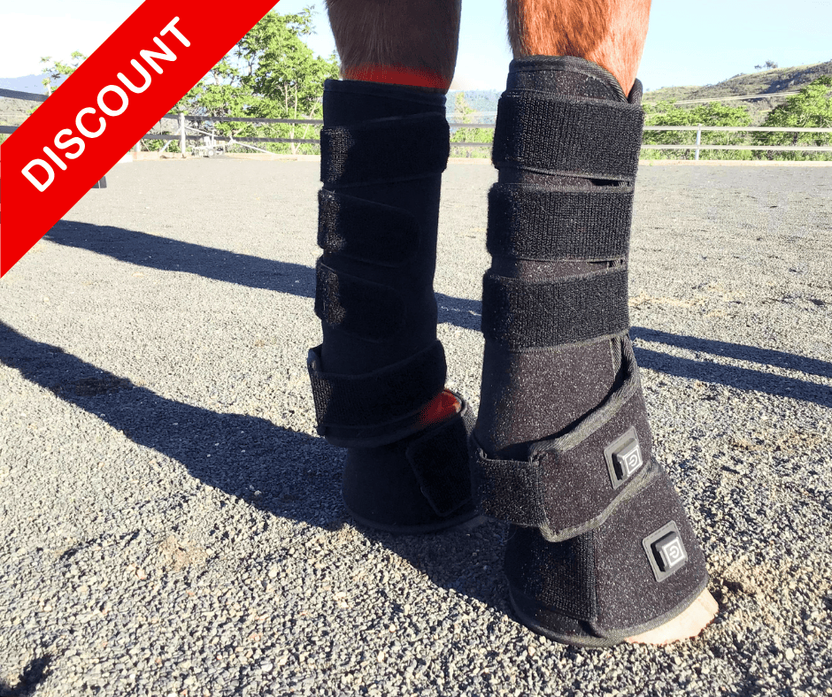 SAVE $50! Red Light Boots Combo for Horses