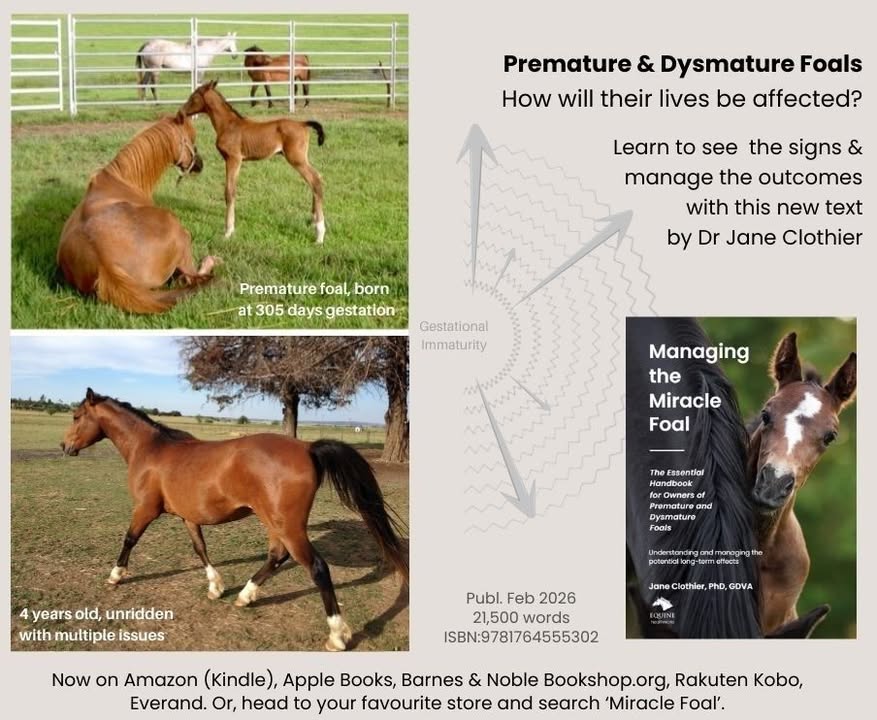 Equine Healthworks