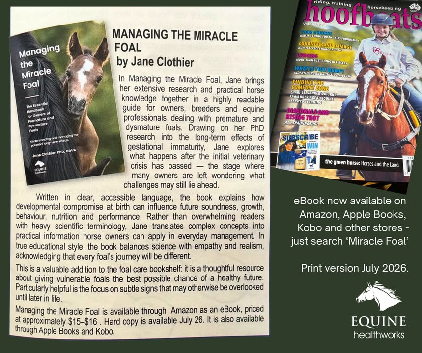 Equine Healthworks